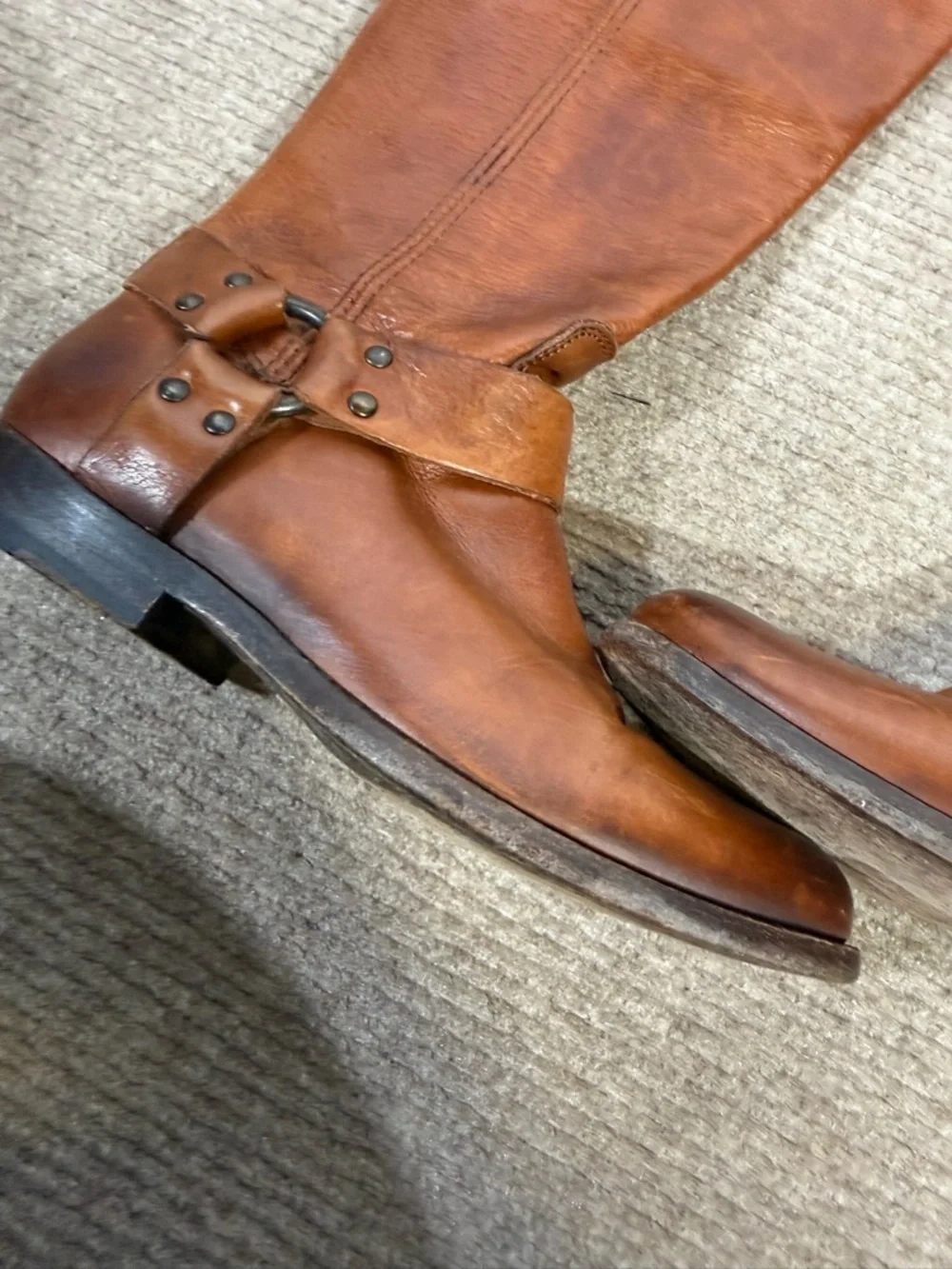 Frye phillip harness